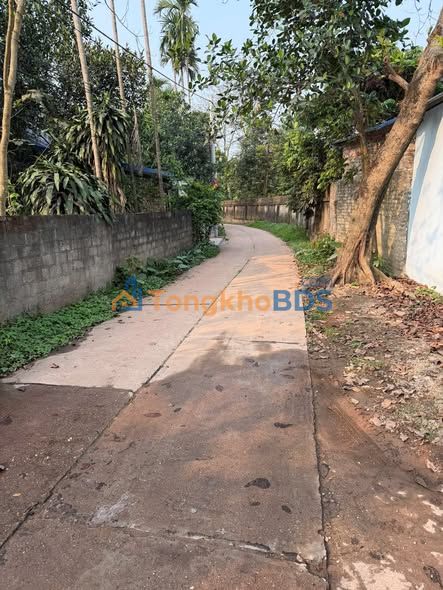 Đất nền xây biệt thự 226.6m² Tân Long, Thái Nguyên - Giá chỉ 1.7 tỷ