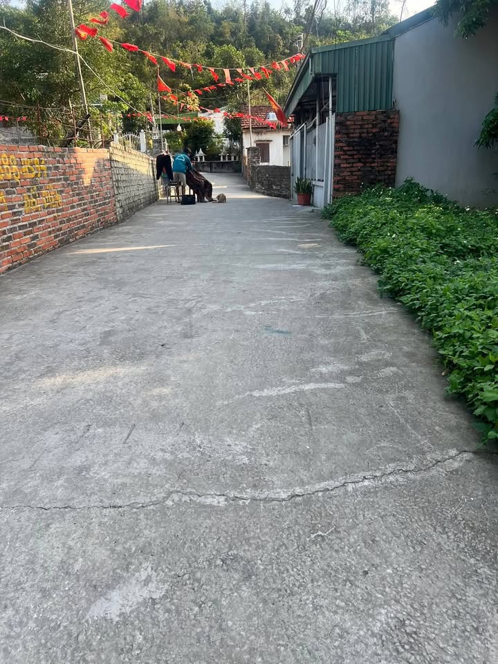 Bán Gấp Đất Vàng Hạ Long 62m² - Ô Tô Tận Đất - Giá Nhỉnh 1 Tỷ