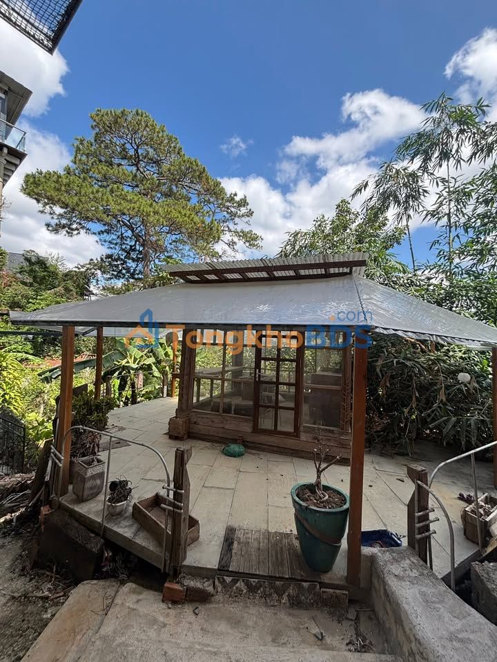 Cho thuê nhà gỗ nhỏ 10m² mặt sàn gỗ Đặng Thái Thân, Đà Lạt - Sẵn sàng workshop