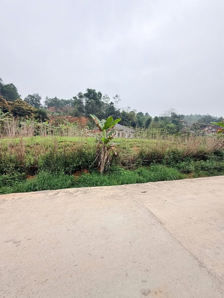 Đất nền Thanh Thủy 75m² - 2 lô liền kề, ô tô tránh, giá chỉ từ 1 tỷ