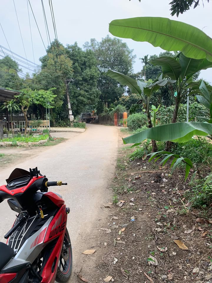 Nhà 560m² Đường Việt Bắc, Yên Sơn - Ổn định cuộc sống, kinh doanh