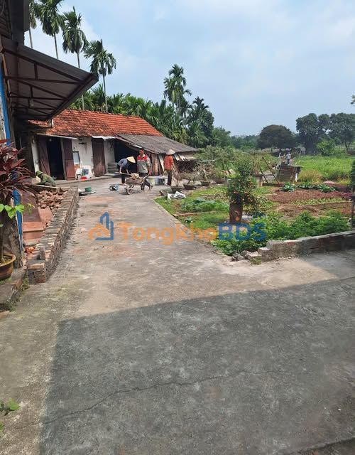 Bán Đất Phúc Thọ 44m² Sổ Đỏ, Gần QL32 - Nhỉnh 1 Tỷ