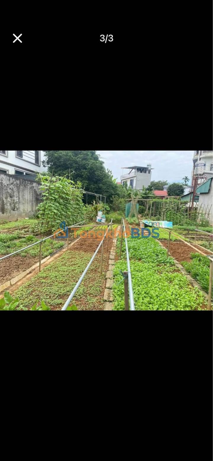 Bán Đất Vị Trí Vàng Phường Yên Ninh, TP Yên Bái - 100m² Giá Tốt