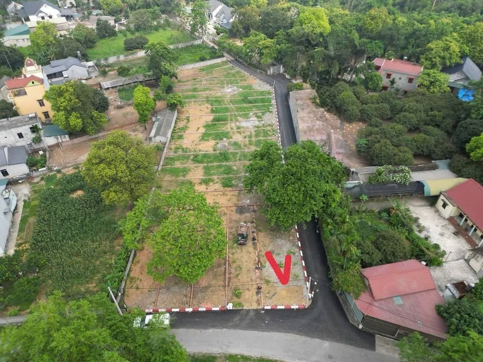 Đất Lô Góc Đồng Sương Lương Sơn 141m² - Kinh Doanh Thoải Mái, Giá Đầu Tư