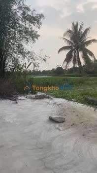 Bán đất Trầm Lộng, Ứng Hòa 80m² - Sát khu đấu giá, giá chỉ hơn 2 tỷ