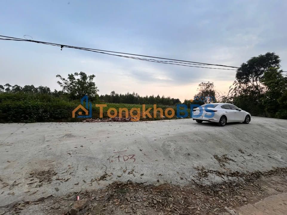 Đất thổ cư nội thị 104m² - Vị trí vàng Phường Âu Cơ, Phú Thọ - Cơ hội đầu tư sinh lời