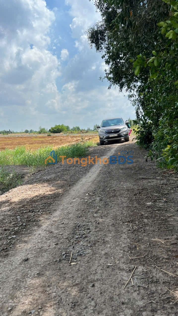 Nhà riêng Ấp 3 Tân Thành 1000m2 1,15 tỷ - Ô tô vào tận nhà