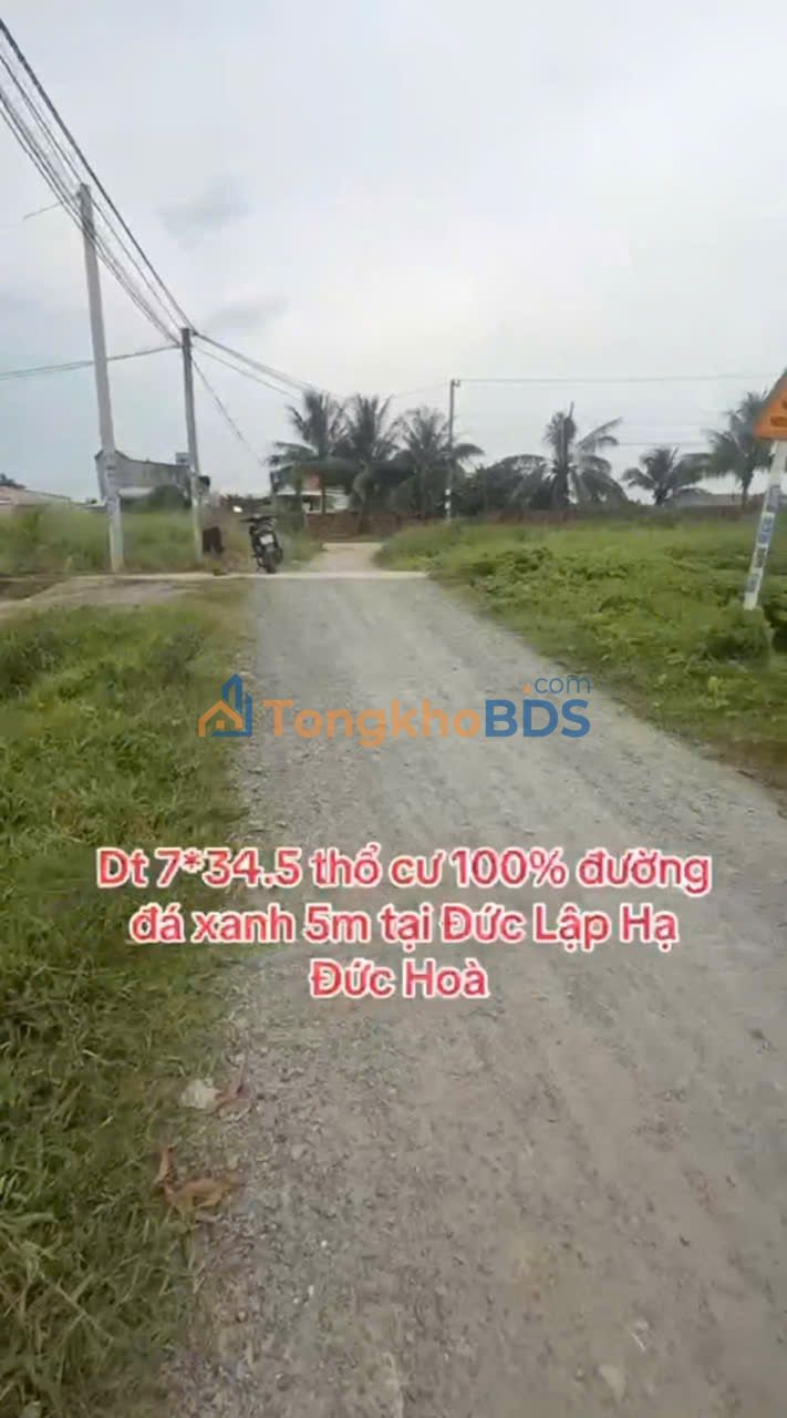 Đất Thổ Cư Đức Lập Hạ, Long An - 241m² Sổ Hồng Sẵn Sàng