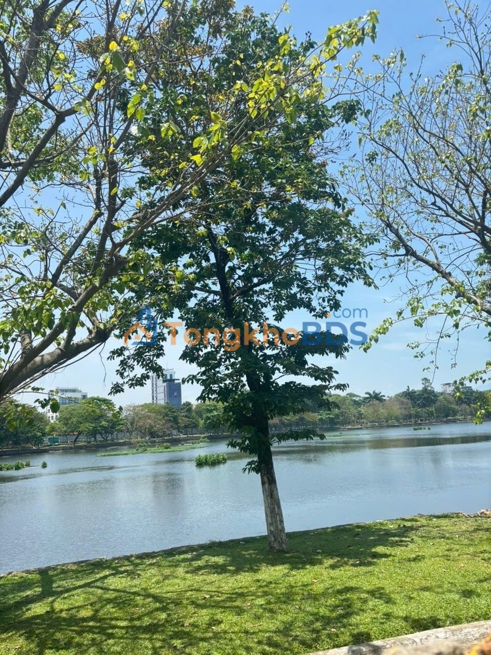 Nhà Phan Thanh Thạc Gián 40m² 3.69 tỷ - Sẵn sàng ở ngay