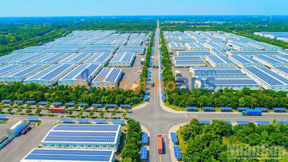 Đất Nền 700m² Thổ Cư 300m² Bình Nam - Sổ Hồng Sẵn Sàng