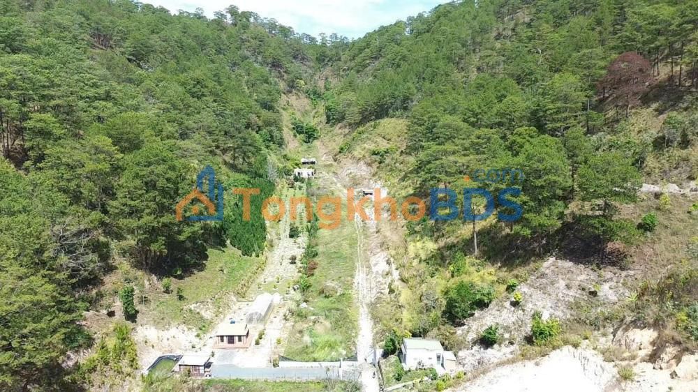 Đất Vườn 4ha Bám Rừng Thông Chân Đèo Prenn - Đà Lạt - 150 Tỷ