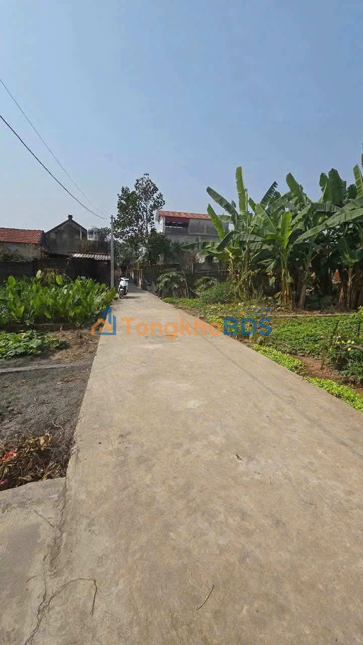 Đất nền Thanh Oai 42m² - Sổ đỏ sẵn, gần Sân Golf, đầu tư sinh lời