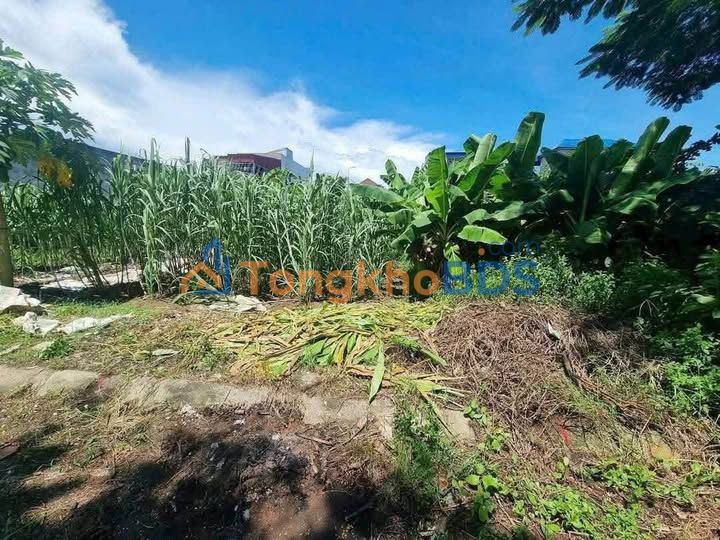 Bán Đất 42m² Ngọc Sơn, Kiến An, Hải Phòng - Giá 8xx Triệu