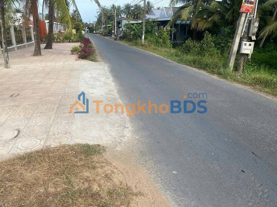 Bán Đất Mặt Tiền 500m² Đường Nhựa Chợ Gạo, Tiền Giang - Sổ Hồng Sẵn Sàng