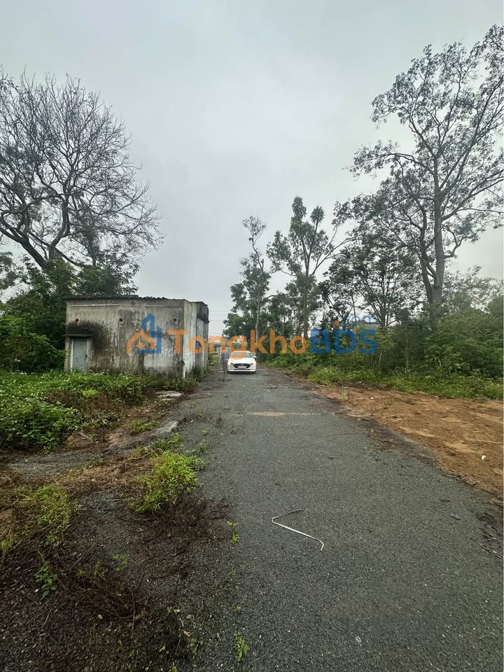 Bán Đất Nền Nghi Hòa, Vinh 124m² - Hướng Nam, Giá 1.5 Tỷ