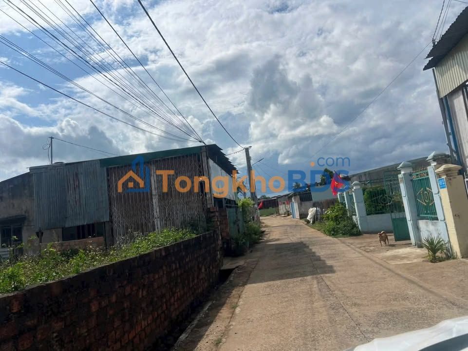 Bán Đất Hẻm Lê Đại Hành, Pleiku - 175m² Thổ Cư, Giá Tốt Đầu Tư