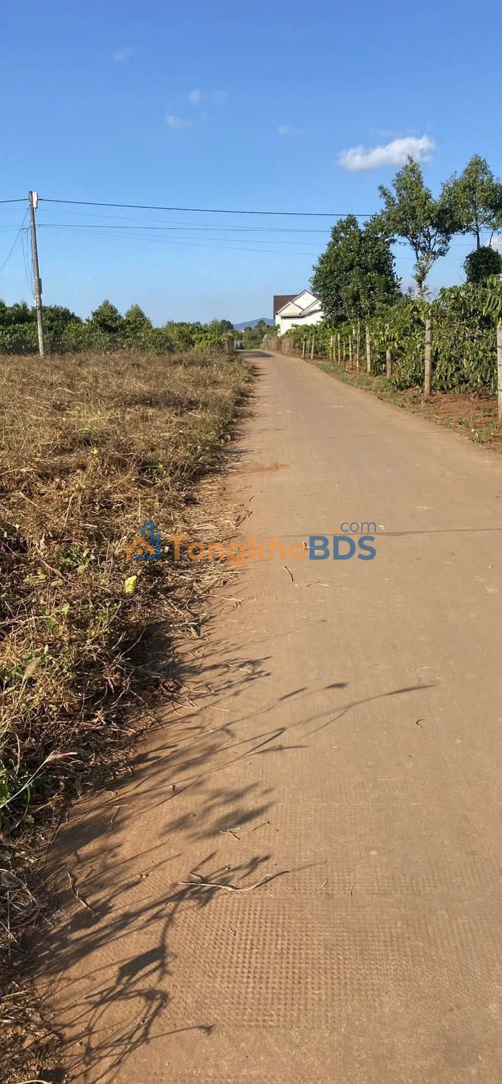 Đất Nền Dút 1, Trường Sơn, Gia Lai - 154m² Thổ Cư, Giá Tốt