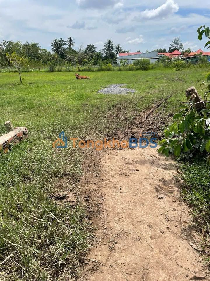 Đất Nền Vĩnh Long 103m² Full Thổ Cư - Sẵn Sàng Xây Dựng, Giá Đầu Tư