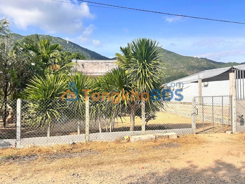 Bán Đất Vàng Cam Ranh 120m² - Tặng Nhà Cấp 4, Sổ Hồng Sẵn Sàng