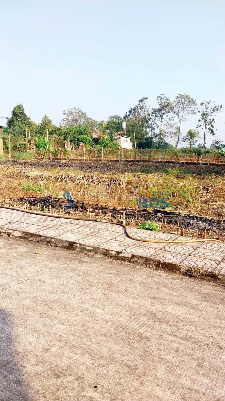 Đất Thổ Cư 150m² Sổ Hồng Tại Thống Nhất, Đồng Nai - Giá Ngộp 699 Triệu