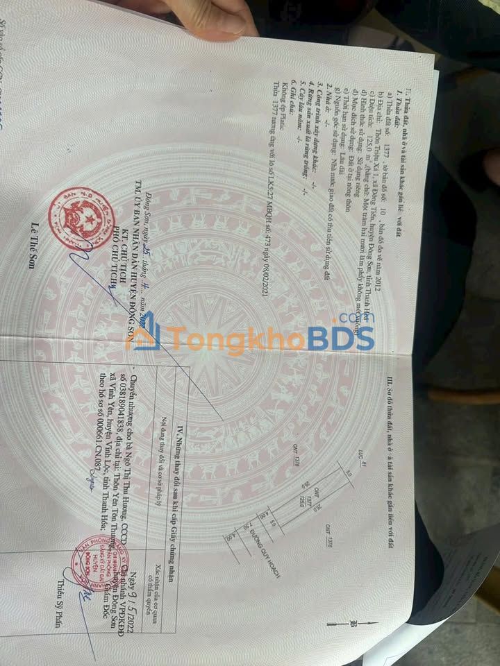 Bán Đất Xã Đông Tiến, TP Thanh Hóa 125m² - Sổ Đỏ Trao Tay, Giá Cắt Lỗ 1 Tỷ