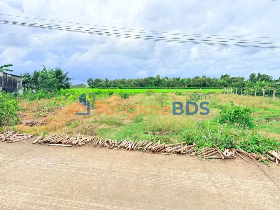 Đất Nền Mặt Tiền Đường Đan 165m² Bình Tịnh, Tân Trụ - Giá 450 Triệu