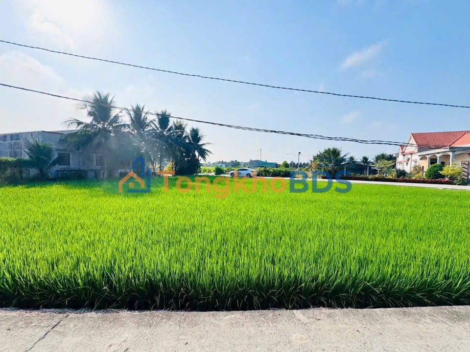 Đất Thổ Cư Mặt Tiền Huỳnh Văn Tung, Tân Trụ - 77.9m² Giá Tốt