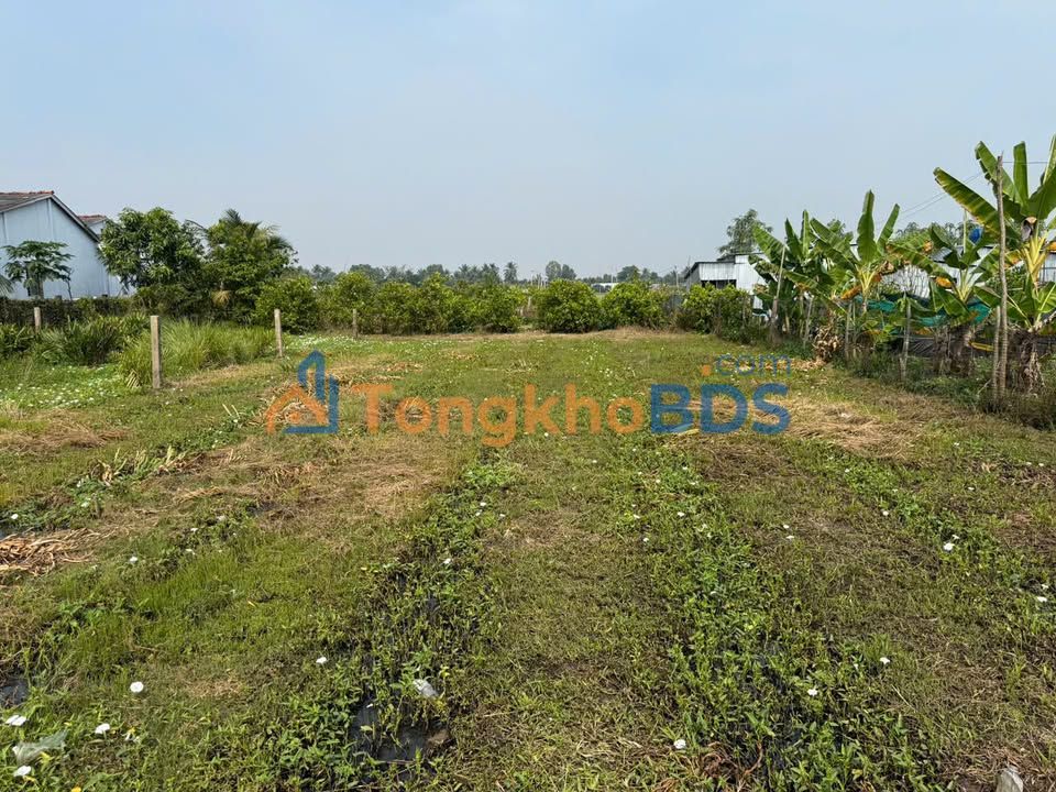 Đất nền Tân Trụ Long An 877m² - Sổ đỏ sẵn sàng, tiềm năng tăng giá