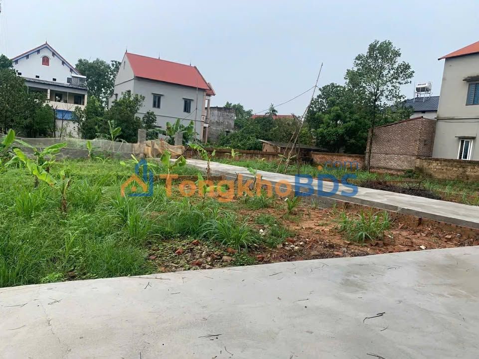 Đất nền Tiên Dương Đông Anh 80m² dưới 1 tỷ - Đường ô tô