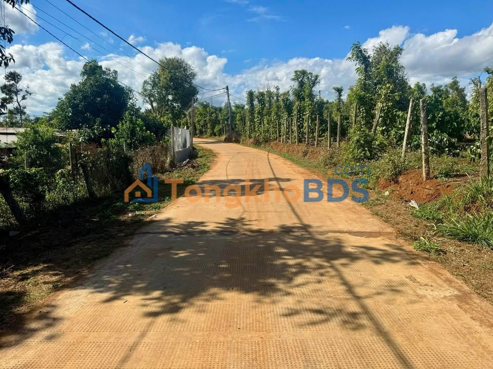 Bán Đất Mặt Tiền Đường Bê Tông Xã Ea Ning, Đắk Lắk - 360m² Giá Chỉ 2xx Triệu