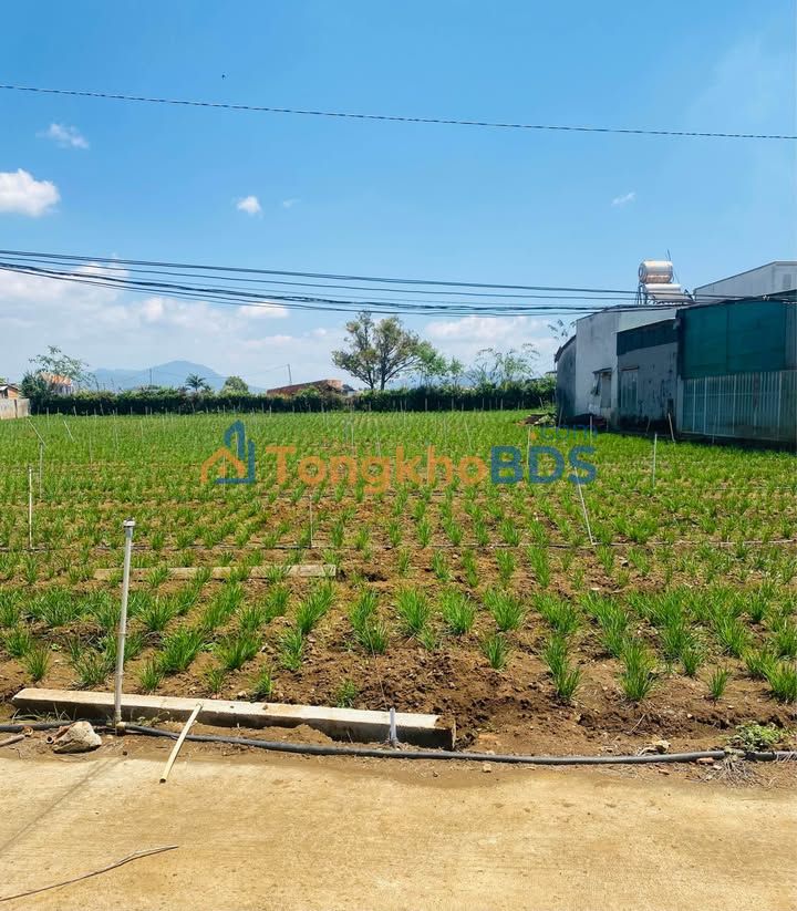 Đất Thổ Cư 102m² TT Liên Nghĩa, Đức Trọng - Hơn 800 Triệu, Sổ Riêng