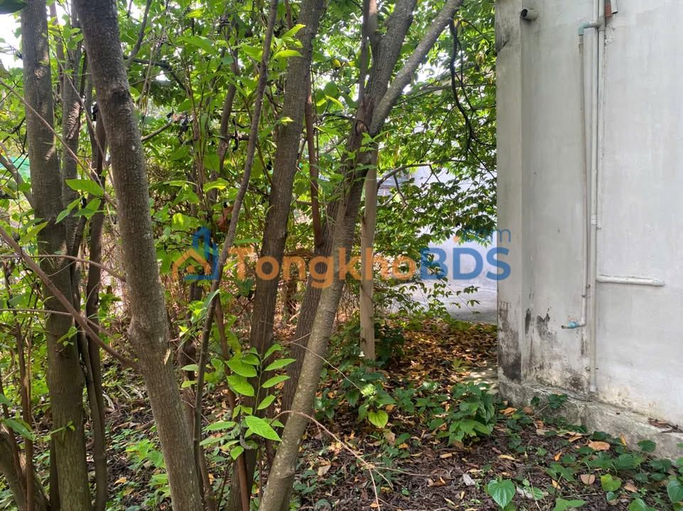 Nhà Phước Vĩnh An 430m² 3,7 tỷ - Chính chủ bán