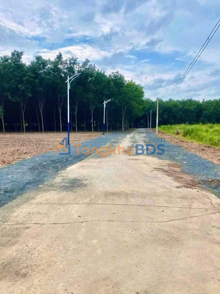 Bán Đất Nền Minh Hưng, Bình Phước - 98m² Thổ Cư 50m² - Giá 339 Triệu