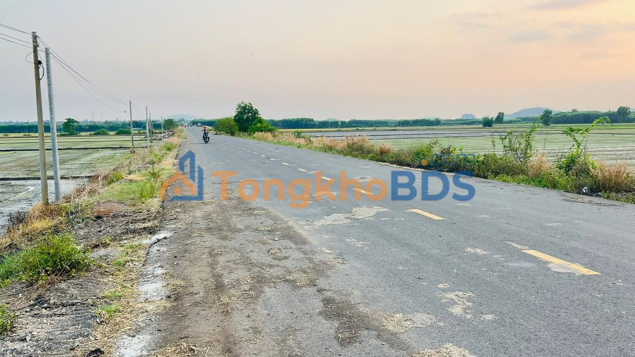 Đất Nền Mặt Tiền Nhựa Đồng Nai - Gần Cao Tốc Dầu Giây - 6308m² Giá 2.8 Tỷ