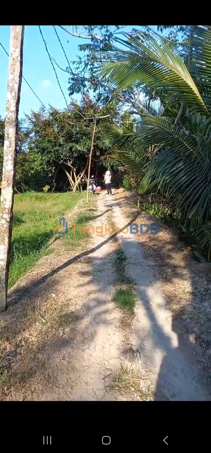 Đất Vườn Cần Thơ 2.635m² - Mỹ Khánh, Phong Điền - Giá Tốt
