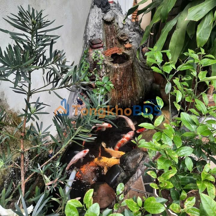 Nhà 3 Tầng Trung Tâm Nam Định - 50m² Sân Koi, Ô Tô Vào Ngõ