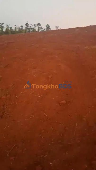 Đất Nền Tuy Đức 14000m² - Mặt Tiền Sông Lớn, Kín Gió, Giá Đầu Tư 1.85 Tỷ