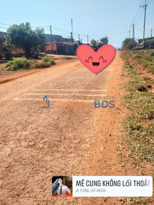 Đất Vườn Đắk Nông - Mặt Tiền Tỉnh Lộ, View Suối 2.2 Tỷ