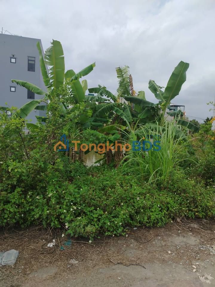 Đất Ninh Tiến Hoa Lư 95m² 4.9 tỷ- Sổ đỏ chính chủ