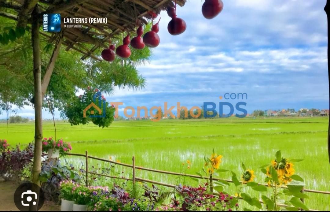 Bán đất vườn Bình Phước 3ha view suối, 200m² thổ cư - 3.9 tỷ