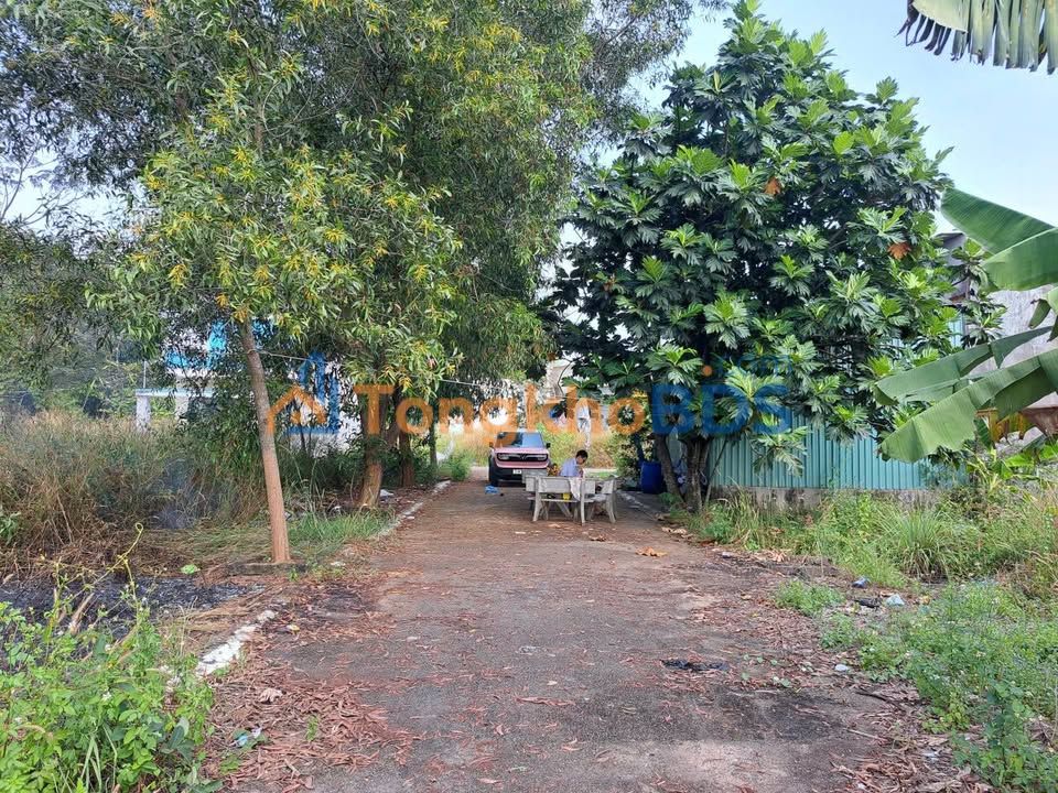 Bán đất 100m² Phường Hòa Lợi, Bến Cát - Hai Mặt Tiền Đường Nhựa Đẹp