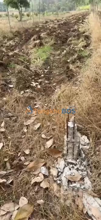 Đất Vườn Dĩ An 4000m² - Mặt Tiền 60m - Giá 1.5 Tỷ