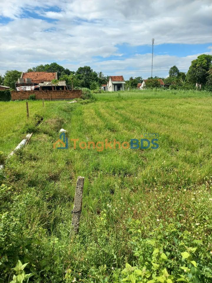 Đất thổ cư 133m² Sông Hinh - Sổ sẵn, giá 230 triệu