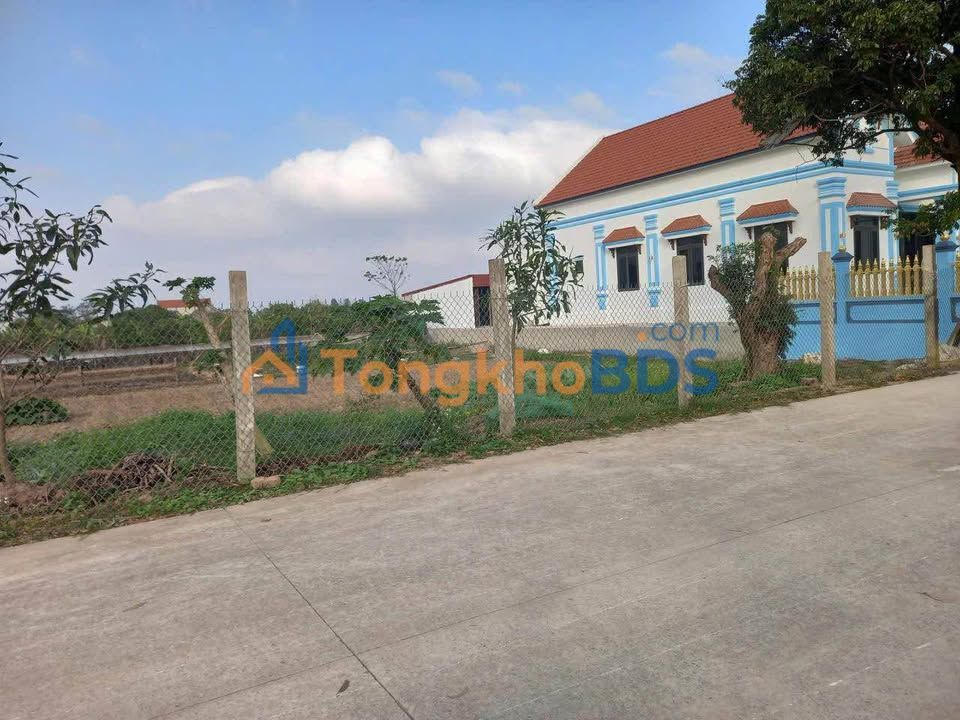 Đất Vườn Ninh Bình 300m² - Sổ Đỏ Chính Chủ, Xe Container Vào Tận Nơi