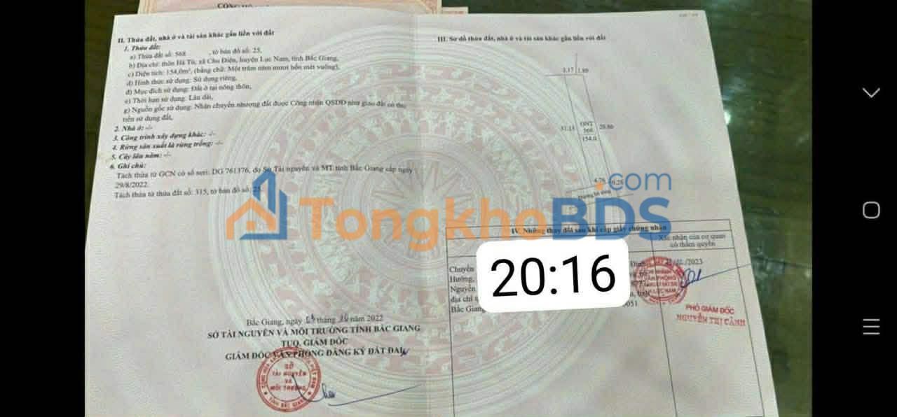 Đất Lục Nam 165m² - Sổ Đỏ Chính Chủ, Ô Tô Tới Cửa