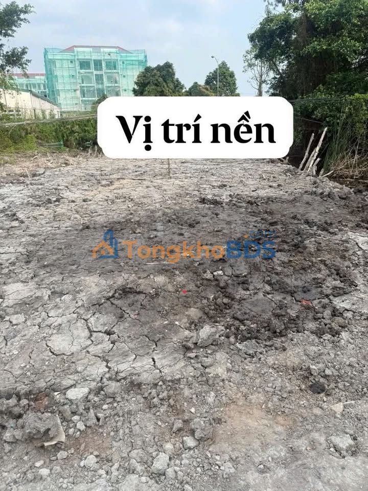 Bán Nền Mặt Tiền Lý Văn Lâm, Cà Mau - 264m² Thổ Cư, Vị Trí Đắc Địa