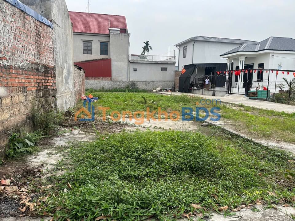 Đất Nền Lai Hạ An Lão HP - 64m² Mặt Nhựa - Giá 6xx Triệu