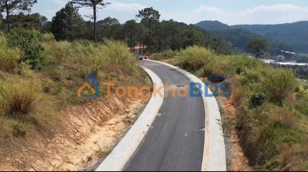 Đất nền Đà Lạt - Sổ hồng thổ cư, view rừng thông thoáng mát