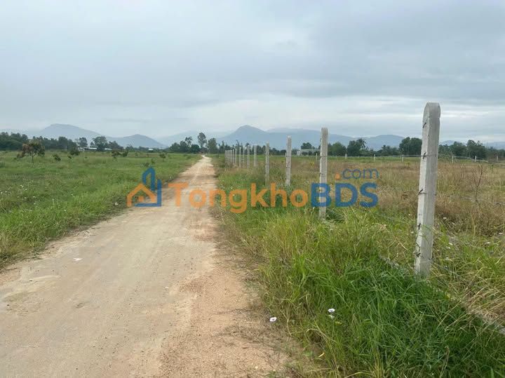 Bán Đất Nền 12000m² Cam Lâm, Khánh Hòa - Mặt Tiền Đường Bê Tông