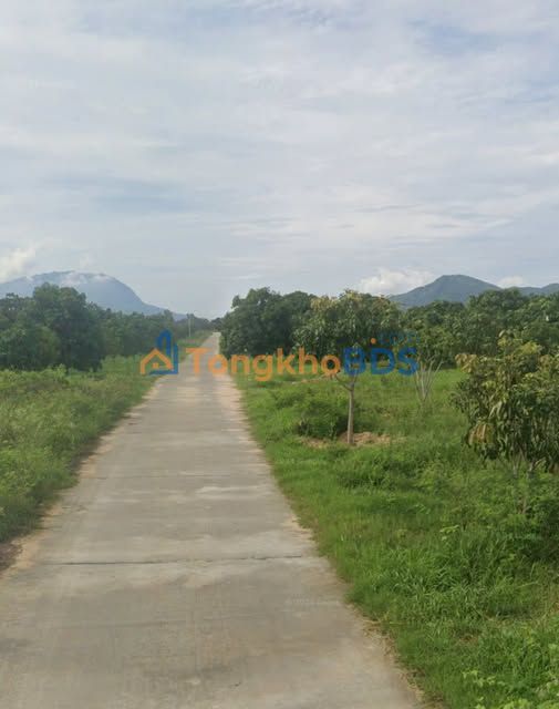 Bán Đất Cam Hiệp Nam, Khánh Hòa - 1300m² Giá Chỉ 4xx Triệu